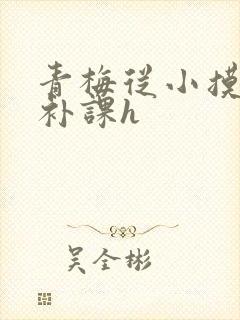 青梅从小摸到大补课h