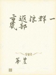 重返狼群一共有几部