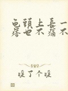 龟头上长一圈疙瘩也不痛不痒