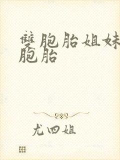 双胞胎姐妹生双胞胎