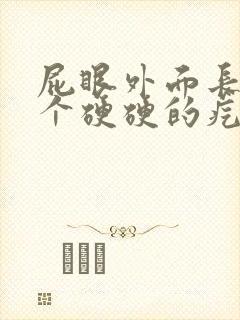 屁眼外面长了一个硬硬的疙瘩