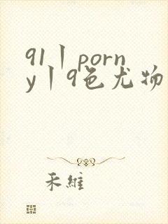 91丨porny丨9色尤物