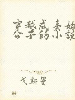 穿越成秦始皇二公子的小说