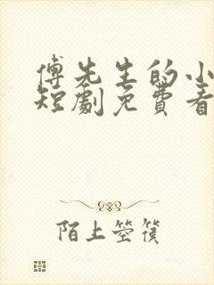 傅先生的小作精短剧免费看