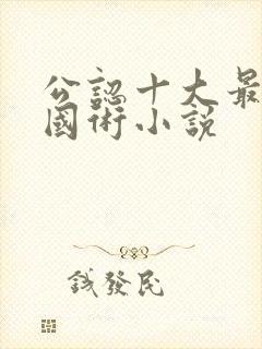 公认十大最好看国术小说封面