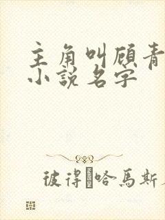 主角叫顾青穿越小说名字封面