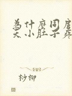 为什么同房第二天小肚子疼