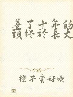 养了十年的小丫头终于长大了封面