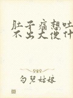 肚子痛想吐又拉不出大便什么原因