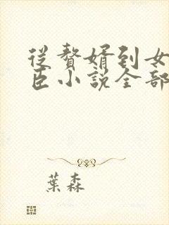 从赘婿到女帝宠臣小说全部章节