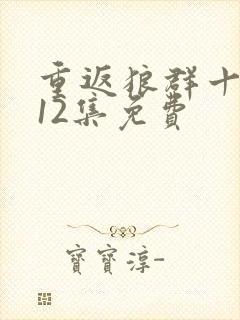 重返狼群十周年12集免费