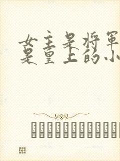 女主是将军男主是皇上的小说