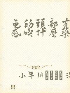 龟的头部有灼烧感吃什么药好