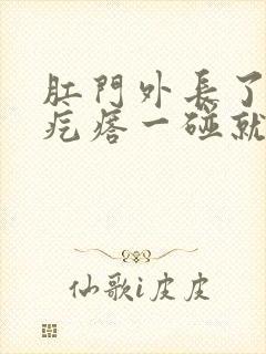 肛门外长了一个疙瘩一碰就疼