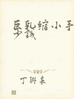 巨乳缩小手术多少钱封面