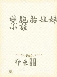 双胞胎姐妹双飞小说