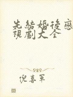 先结婚后恋爱电视剧大全封面