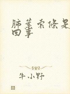 肺叶索条是怎么回事封面