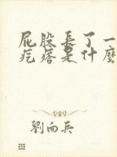 屁股长了一个硬疙瘩是什么