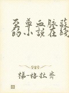 至尊血脉苏铭渊的小说在线阅读