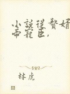 小说从赘婿到女帝宠臣,