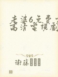 老婆6免费完整高清电视剧看封面