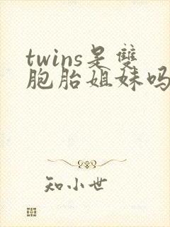 twins是双胞胎姐妹吗