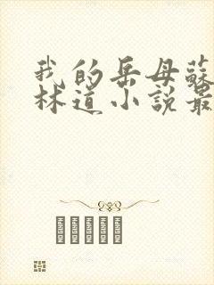 我的岳母苏沛真林道小说最新章节