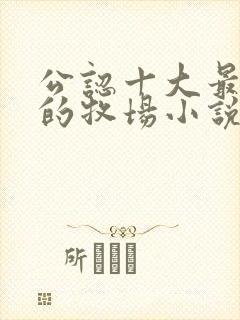 公认十大最好看的牧场小说