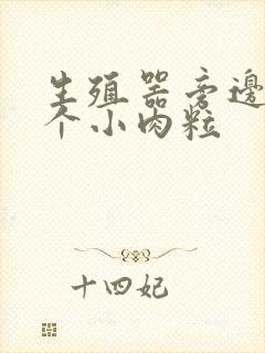 生殖器旁边长了个小肉粒