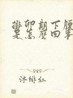 排卵期下腹坠胀是怎么回事封面