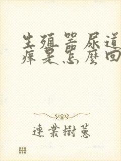 生殖器尿道口发痒是怎么回事