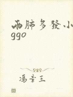 两肺多发小结节ggo