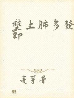 双上肺多发小结节