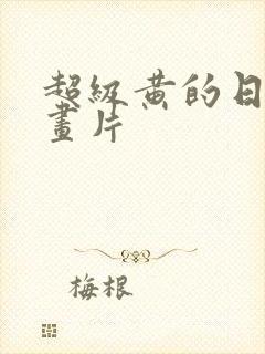 超级黄的日本动画片