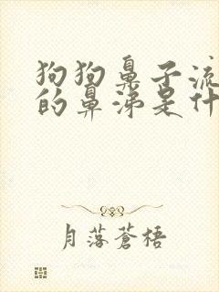 狗狗鼻子流黄色的鼻涕是什么原因