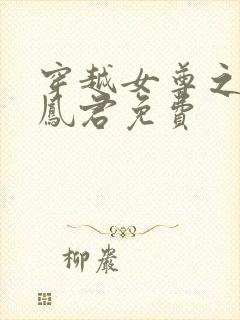 穿越女尊之吾为凤君免费