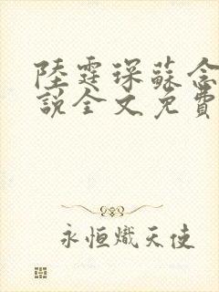 陆霆琛苏念的小说全文免费阅读