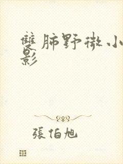 双肺野微小结节影