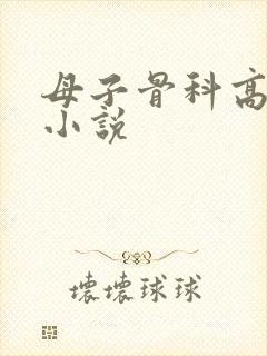 母子骨科高干的小说