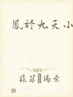 凤于九天小说封面