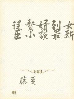 从赘婿到女帝宠臣小说最新章节阅读全文