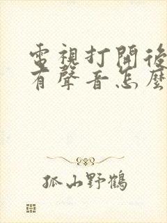 电视打开后黑屏有声音怎么回事