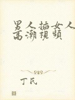 男人插女人下部高潮视频