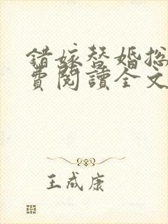 错嫁替婚总裁免费阅读全文封面