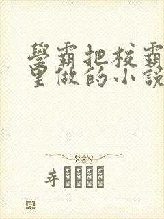 学霸把校霸往死里做的小说