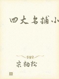 四大名捕小说封面