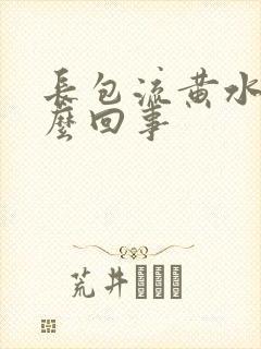 长包流黄水是怎么回事封面