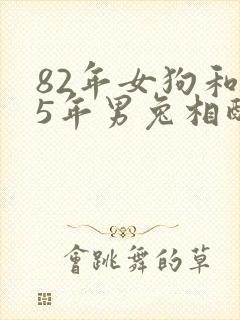 82年女狗和75年男兔相配婚姻如何