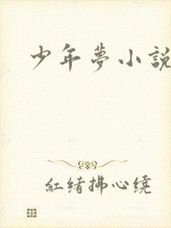 少年梦小说